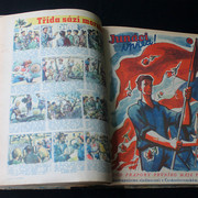 IMG-5781