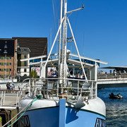 IMG 9771