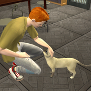 n Could Play Withthe Cat