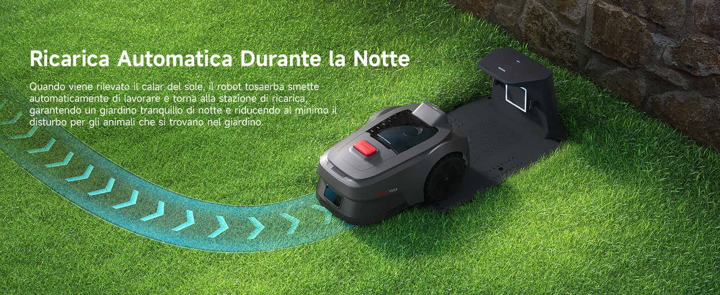 Night Auto Charging