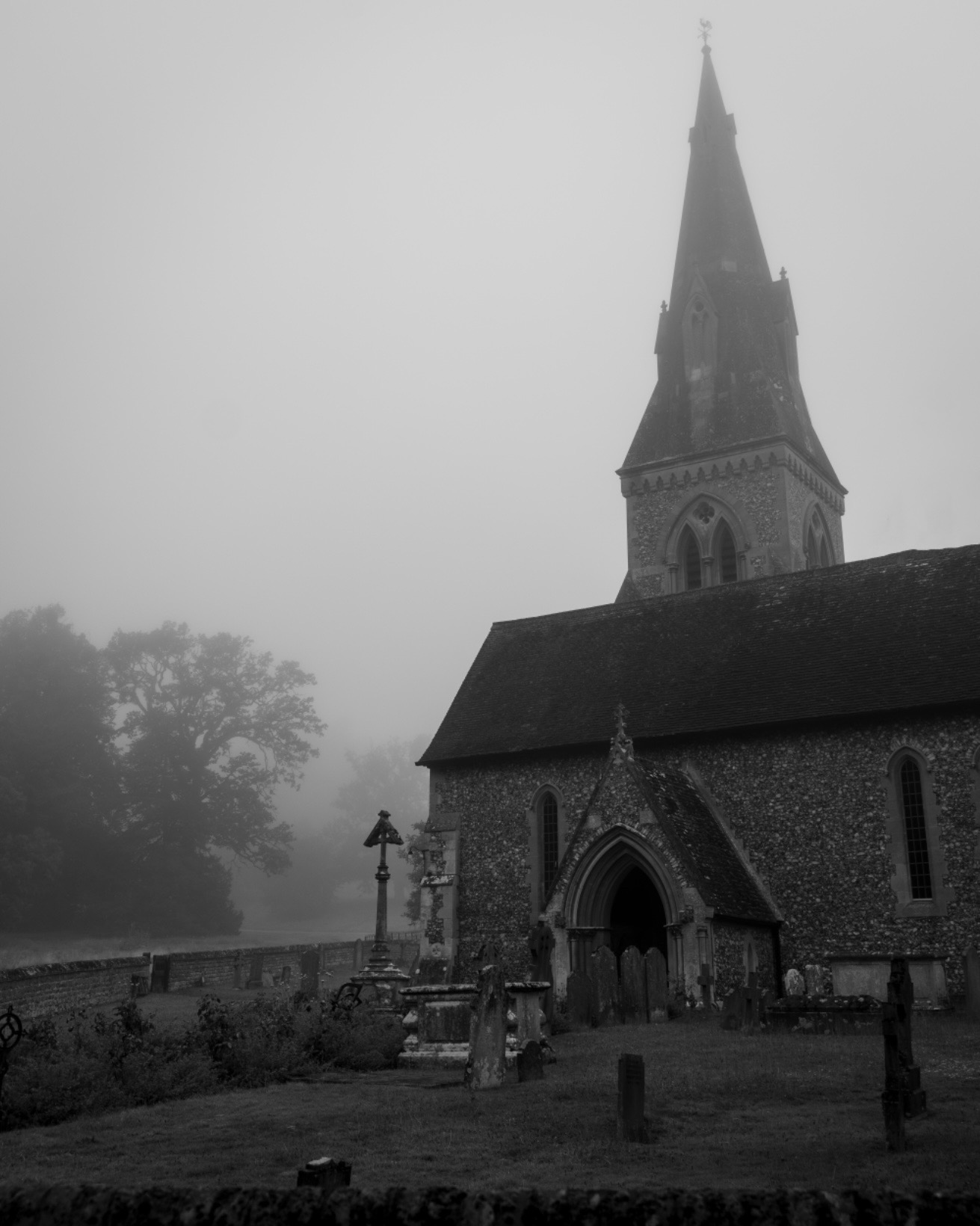 IMG-0814.jpg
