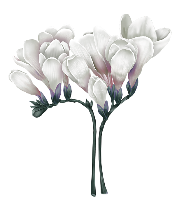 Digital Flower 039.png
