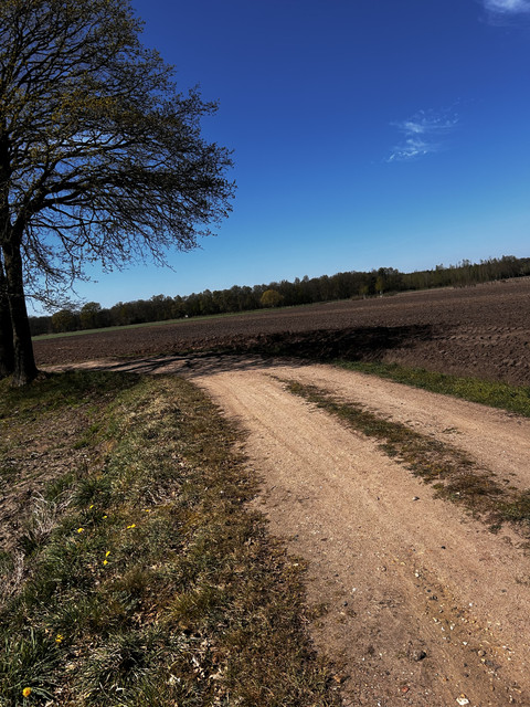IMG-0219