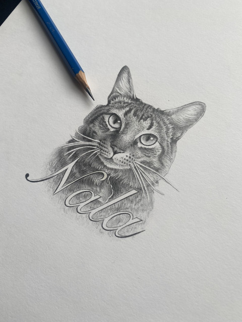 Nala — detalle medio