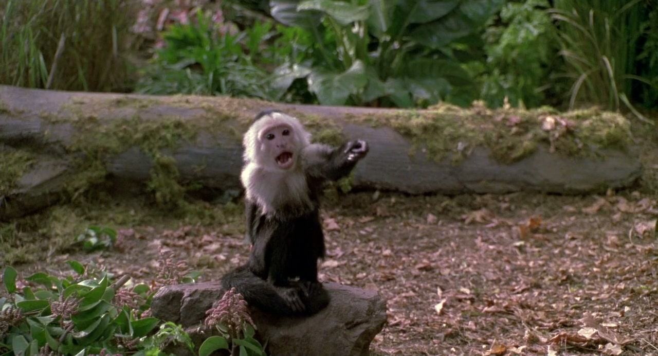 George of the Jungle Screenshot