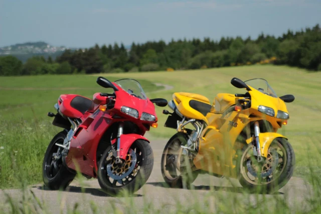 Duc-748.webp