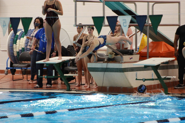 IMG-0290