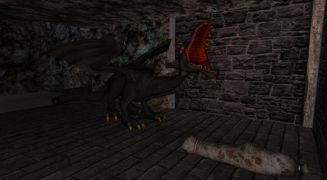 Infinity-3-black-hatchling-august