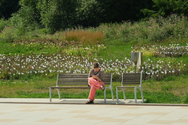 DSCF9194.jpg