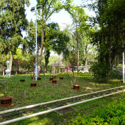 DSC09162