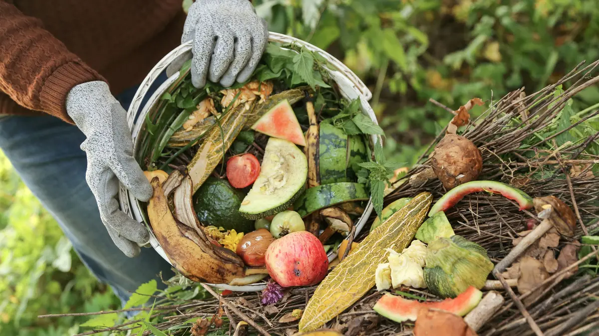 Un compost neașteptat, fără nasuri, descoperit