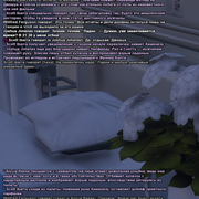 Без имени 89
