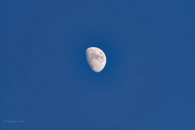 DSF6198.jpg