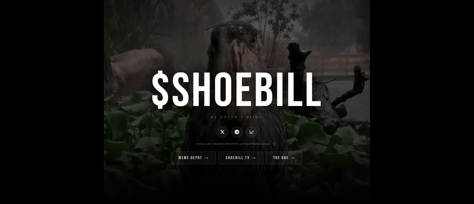 Forensic screenshot of theshoebill.xyz showing the phishing page layout