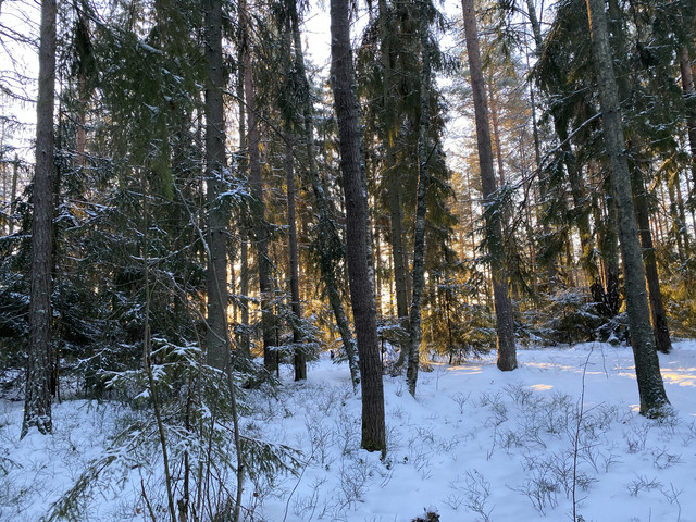 C9968-F53-9256-4-EA7-A0-A7-EA00-CB8-B20-