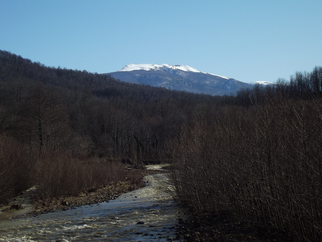 DSCF1149