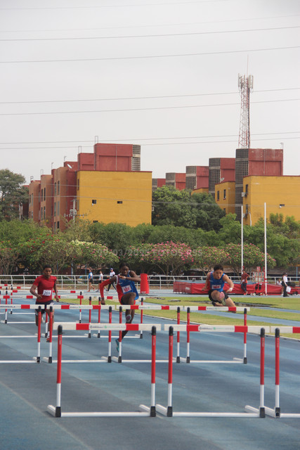 IMG-0019.jpg