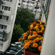 IMG 20260604 192541