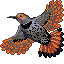 flicker