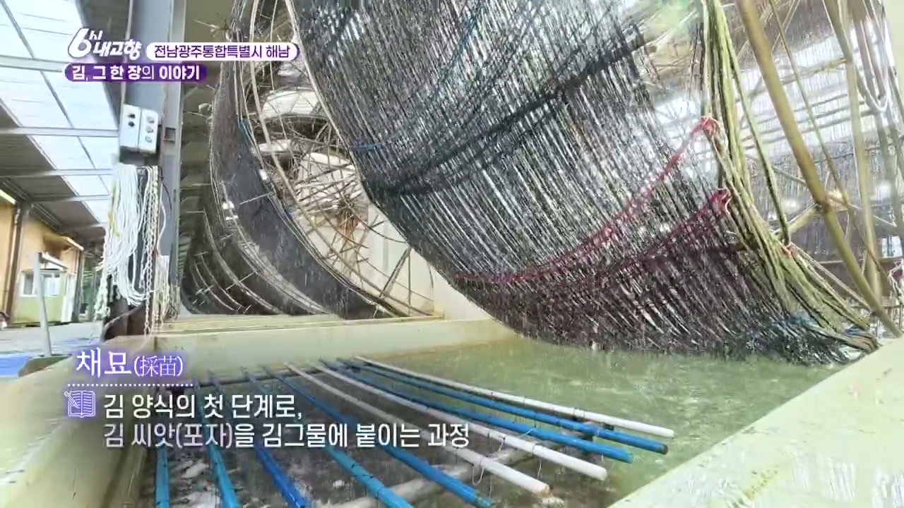6시내고향 해남 김 추가 캡처 1