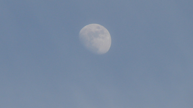 DSC04614.jpg