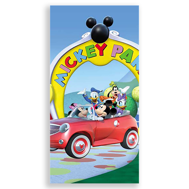 31000600-Disney-Ana