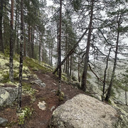 IMG 4882