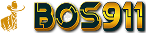BOS911-Google