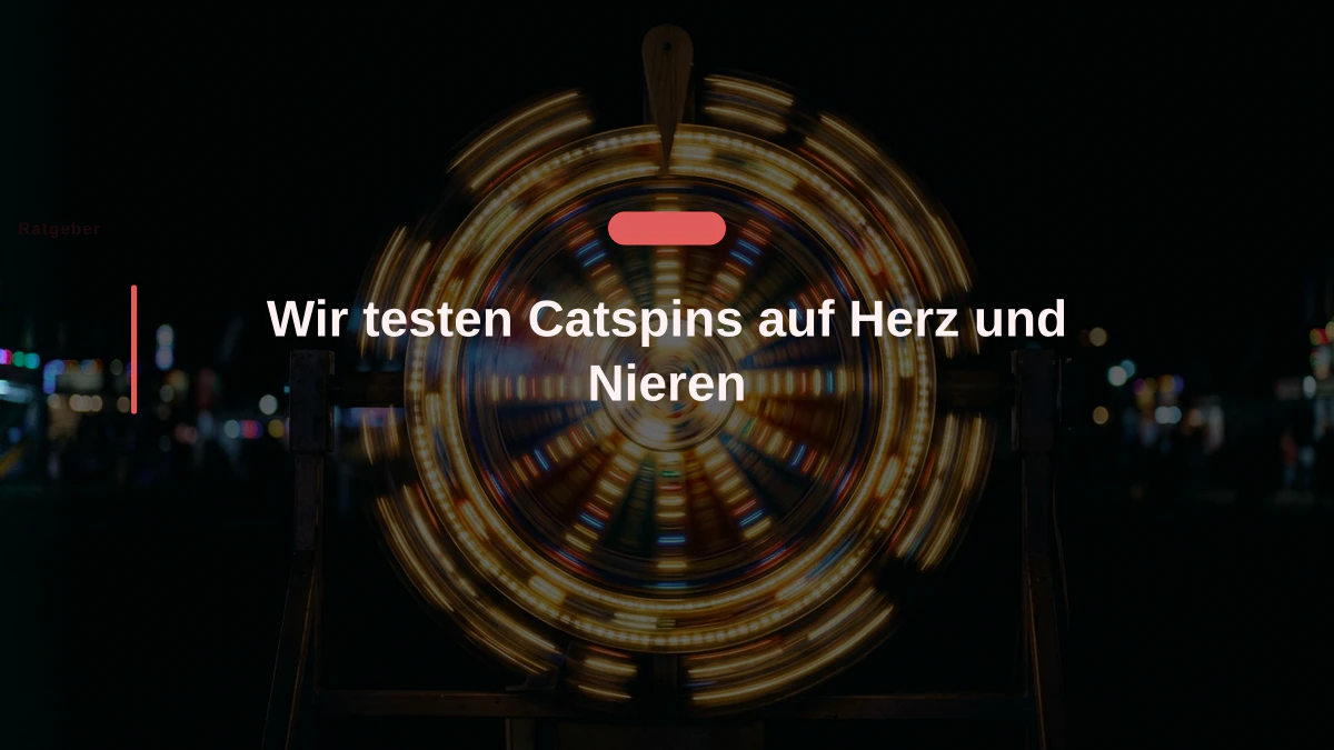 Wir testen Catspins auf Herz und Nieren