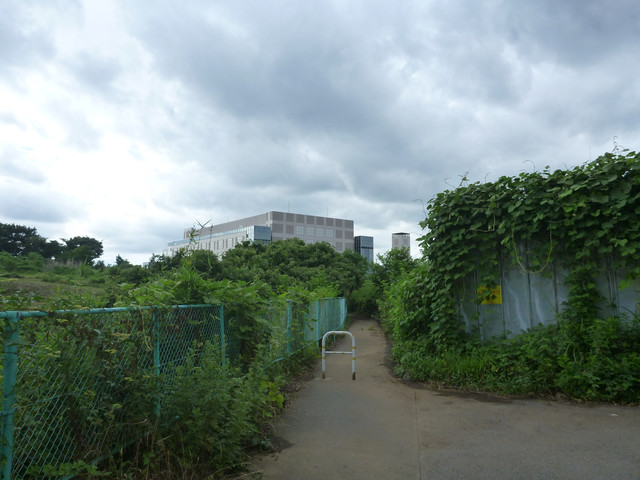P1320299
