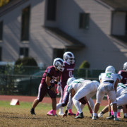 IMG-8258