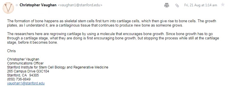 Cartilage regrowing and microfractures