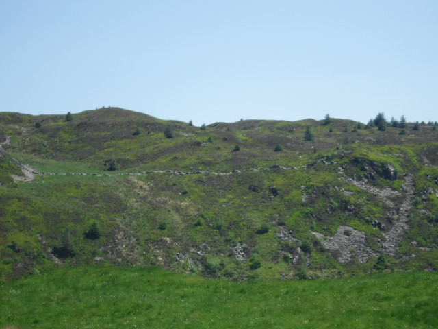 DSCF7915.jpg