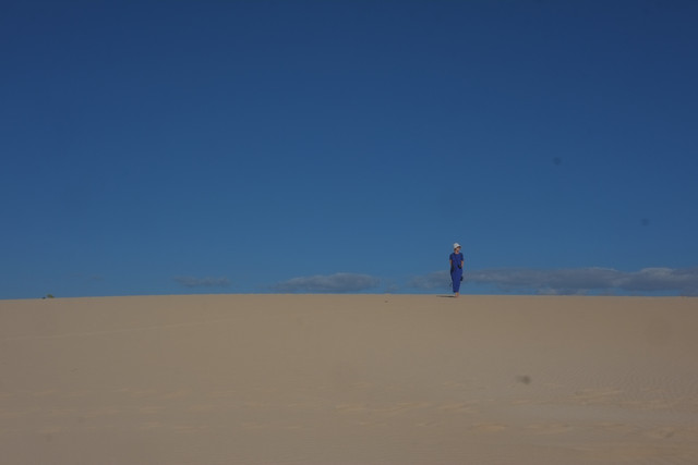 DSCF8533