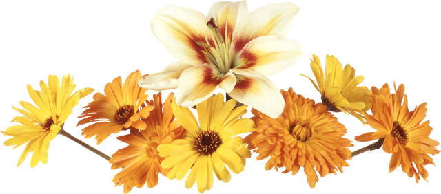 2d2bd52964a754c074ac3e4e29f276c3.png