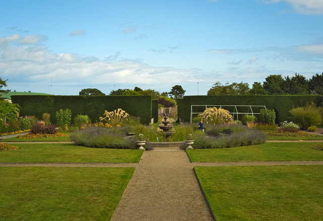 DSCF4175.jpg