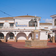 DSCF8445