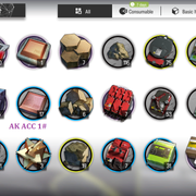 AK-1-Bag-2