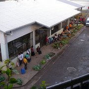 IMGP0337