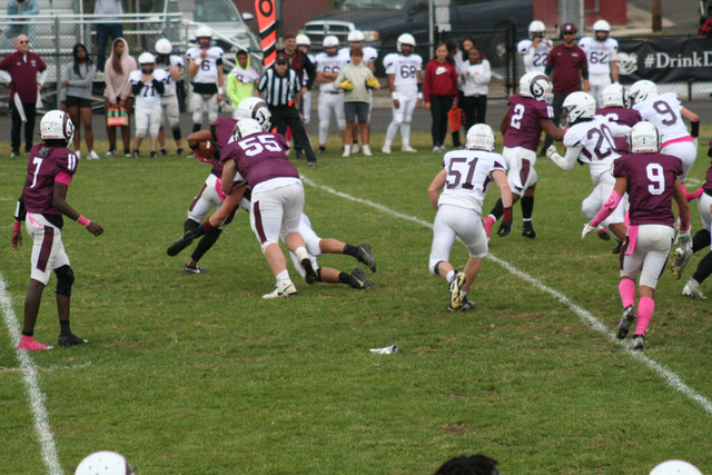 IMG-0095.jpg