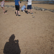 DSC01033