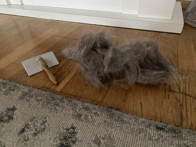 73374977-A033-4-FAC-89-BC-55-C9-BDA50-F7