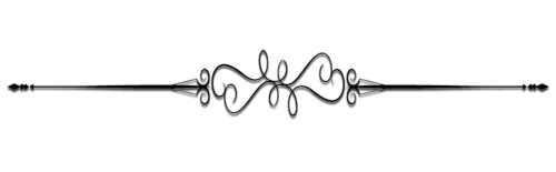 Page Divider1 2.png