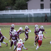 IMG-2992