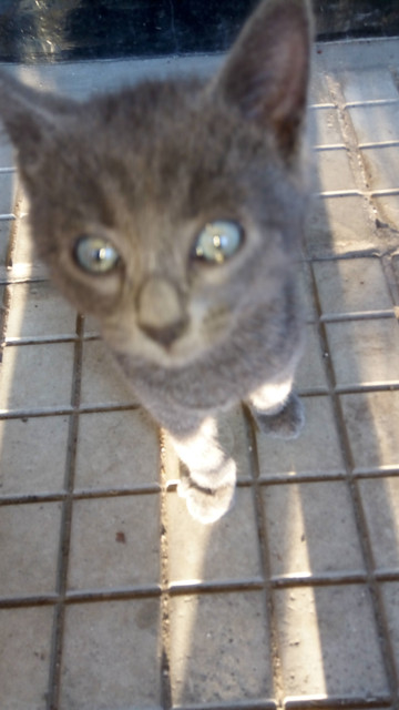 IMG 20180607 200201.jpg