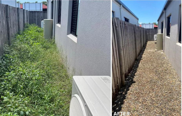 Weed Removal