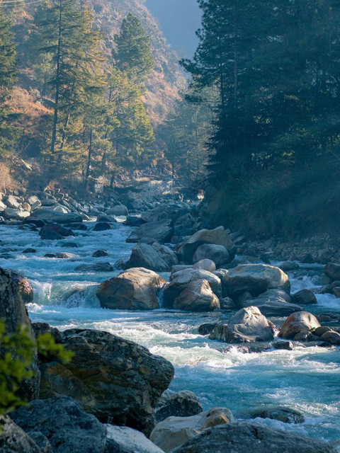 Madpackers Kasol