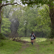 Eadrun242