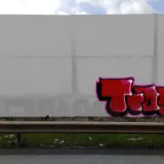 Graffiti artwork by TROY