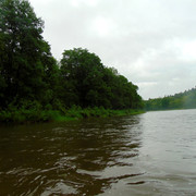 DSC04718